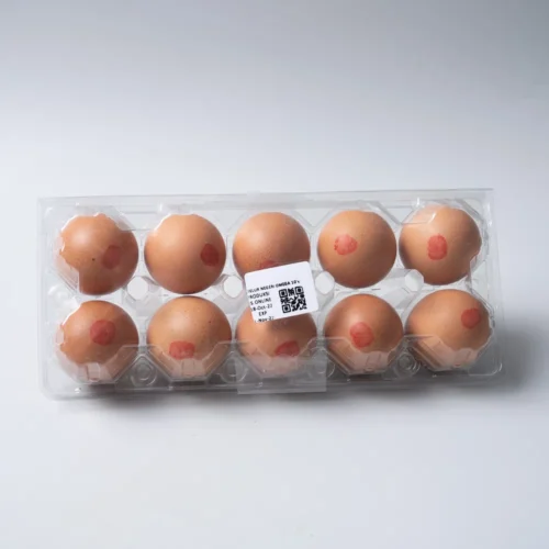 Telur Omega 3 isi 10 - Gambar 3