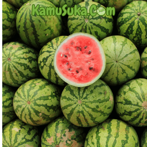 Semangka Super Grosir