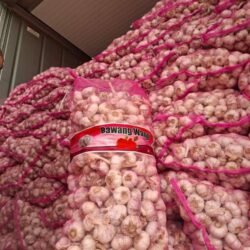 Promo Bawang Karungan Premium