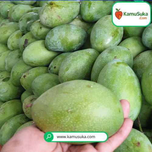 Mangga Manalagi | 1 Kg