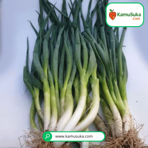 Daun Bawang 100 Gram