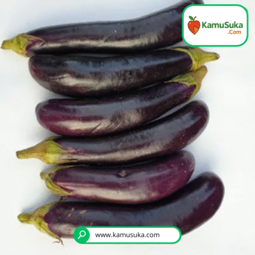 Terong Ungu 1 Kg