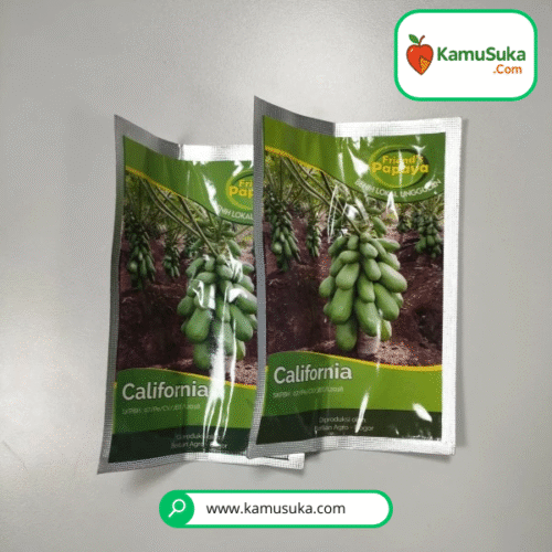 benih bibit pepaya california 5 Gram