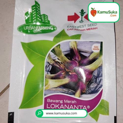 benih bibit bawang merah lokananta cap panah merah - LOKANANTA 500 Butir