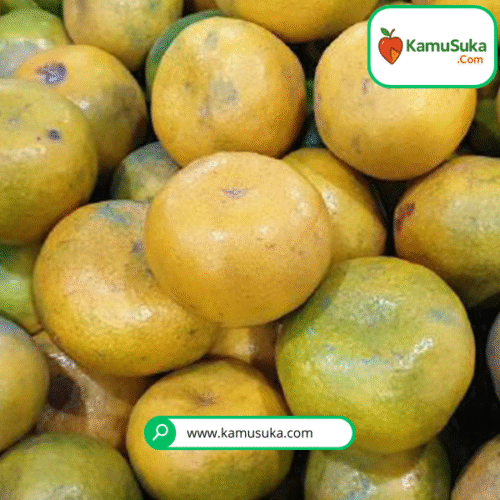 Jeruk Brastagi 1 Kg