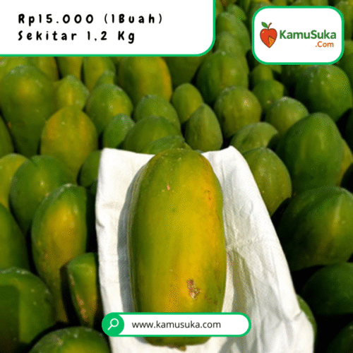 Pepaya California Organik Kualitas Premium