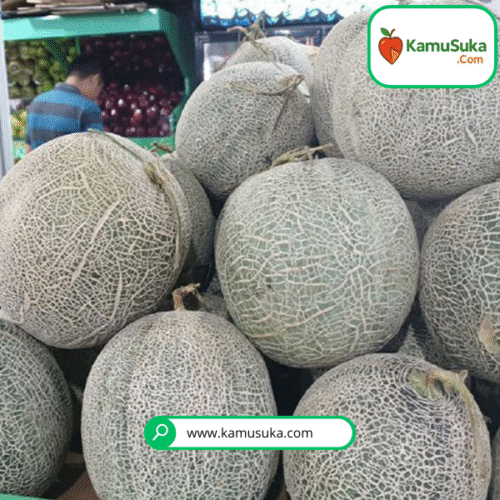 Melon Sakata / Melon Daging Orange 1 Buah