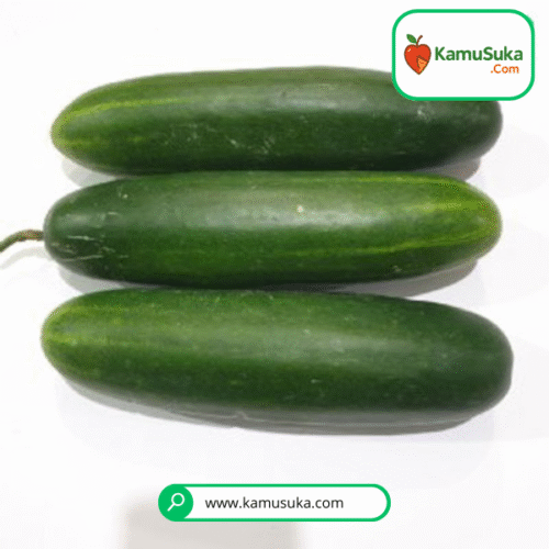 Timun Lokal Besar 1 Kg