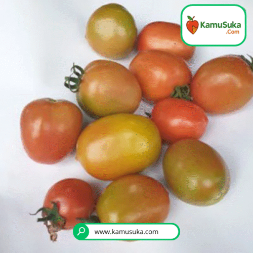 Tomat Merah 500 gram
