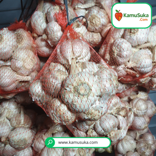 Bawang Putih Gelondongan 1 Kg
