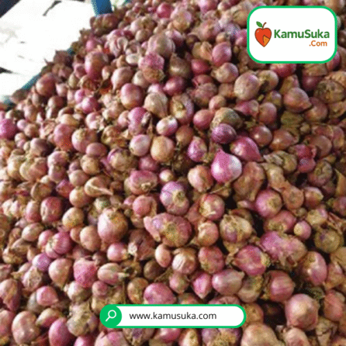 Bawang Merah 1 Kg