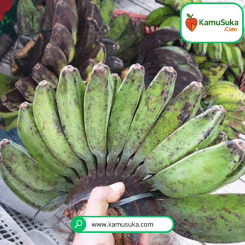 Pisang Kepok Kuning 1 Sisir