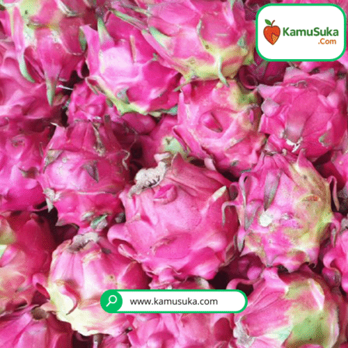 Buah Naga 1 Kg