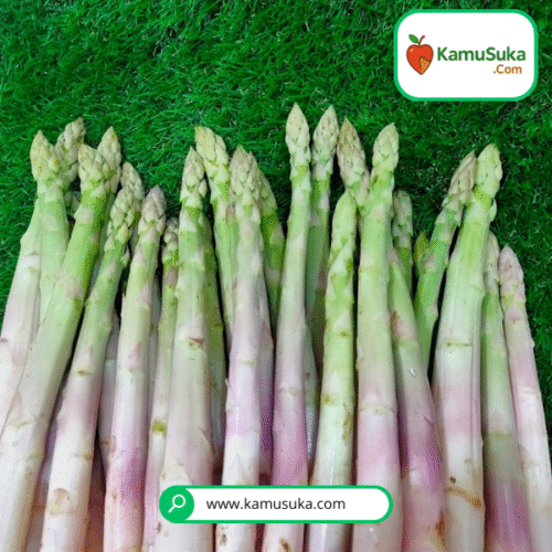 Asparagus Premium 1 pack
