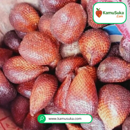 Salak Pondoh 1 Kg