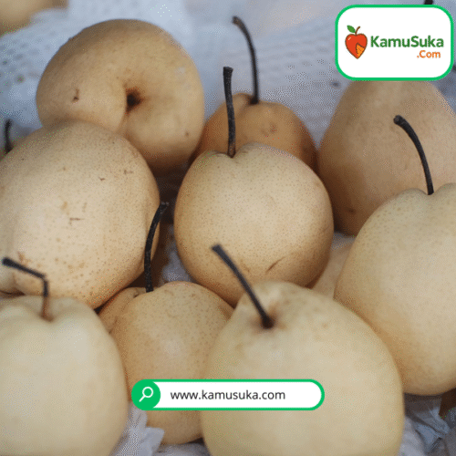 Buah Pear Sweet 1 Kg