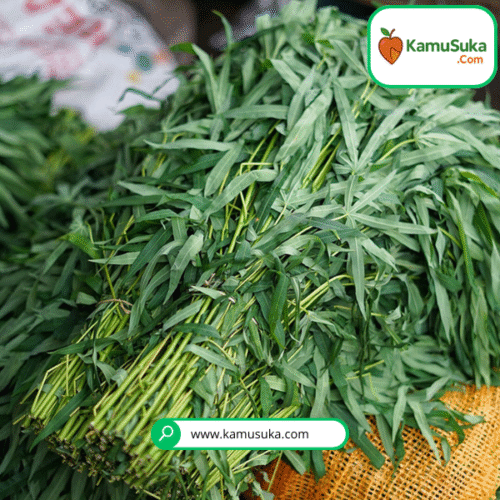 Daun Singkong Ikat Besar
