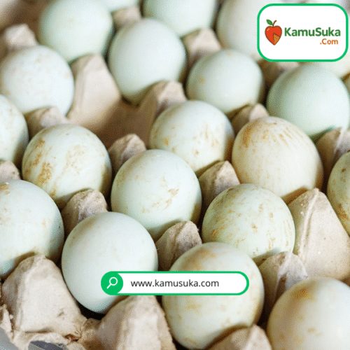 Telur Bebek 10 pcs